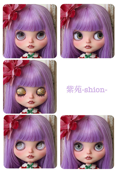 ☆OOAK☆Artist original doll (Neo Blythe) "紫苑(Shion)" by 椛(momiji)